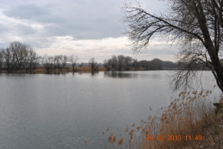 Konkoli Kameničná